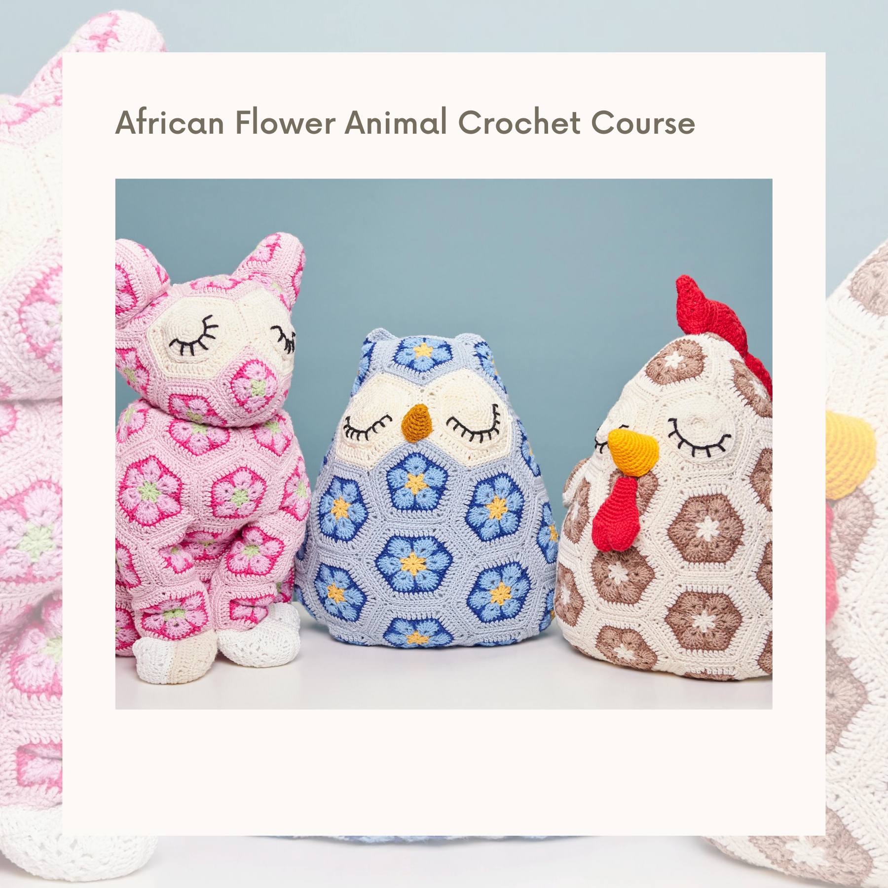 African Flower Animal Crochet Course