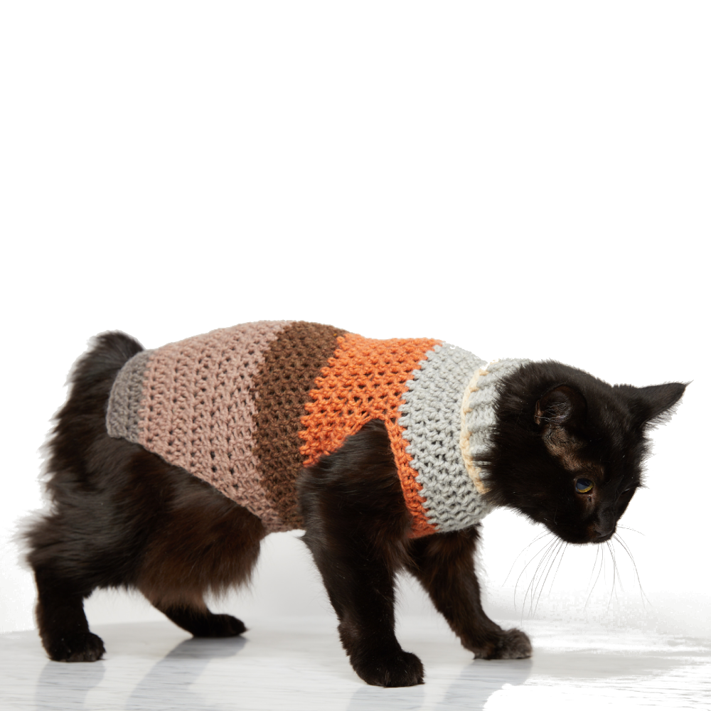 Crochet cat sweater clearance free pattern