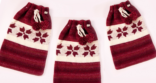 Holiday Christmas Bag Crochet Class
