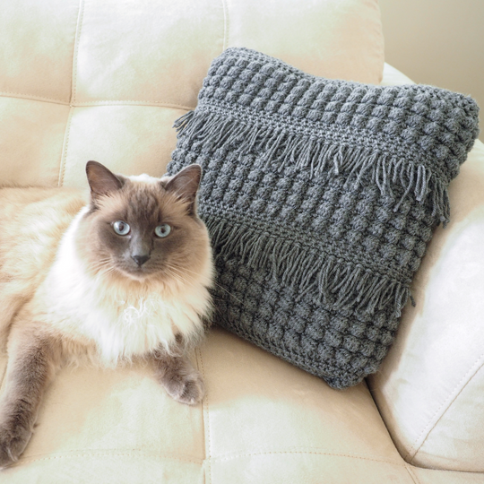 Ombre Bobble Pillow Crochet Class